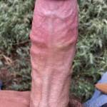 had to take my cock out and show everyone my big veiny cock