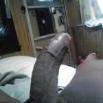 I'm looking for a bbw who loves big black dicks