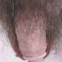 A view of my small dick & my hair that surrounds it as I sit in April of 2023. Camera used, C300.
