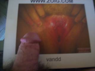 tribrute for vandd love to stick my cock in her pussy