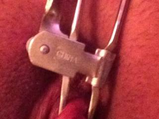The clamp readjusted to sit more on my clit. Without the cushions the metal pressed into my clit.