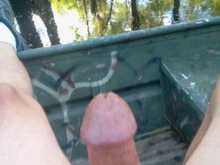 Just my cock head in the swamp.  Who wants a boat ride, with me?