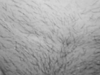 Trimmed