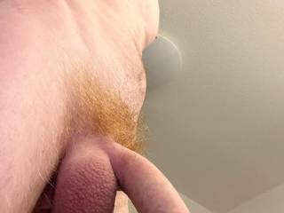What do you think about my red hairy dick ? :)