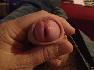 dick head japhole