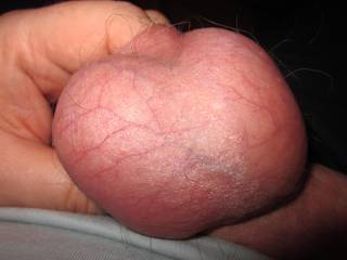 My big cum-filled balls are waiting to be licked to help them unload