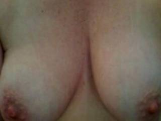 Little ones all perked up ready to be played with
