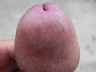 a closeup of my cockhead ready for action