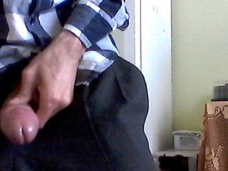 my cock in the morning
