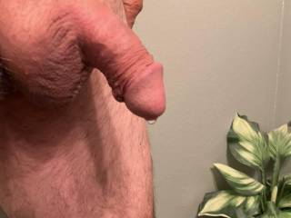 Some precum oozing out
