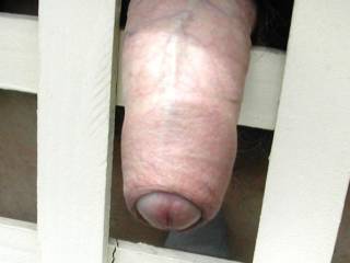 A really nice looking cock with a very nice foreskin!