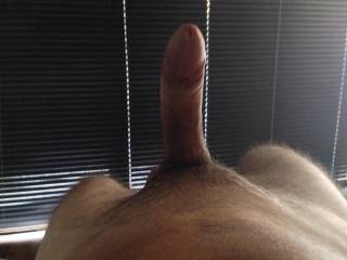 Here is again my boyfriend\'s cock... After taking a ride I think I will suck it till it will explode in a big cumshot!! Do u agree? ;-)