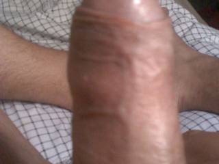 uncut cock