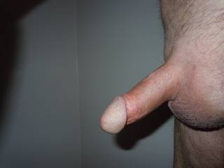 Gorgeous Cock ! ! ! Wish I could suck it ! ! !