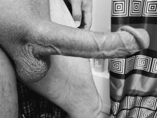 Long hard cock in black and white