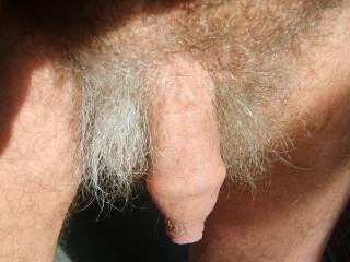 i have always enjoyed my uncut dick..  I kinda feel sorry for those that don't have one.. feels good to just play with the skin... thanks for the comments.