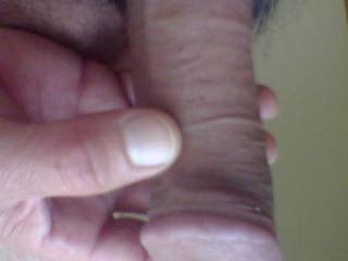 dick