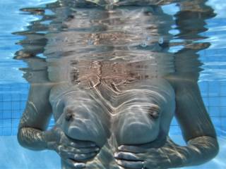 Testing out our new underwater camera in the swimming pool at home.