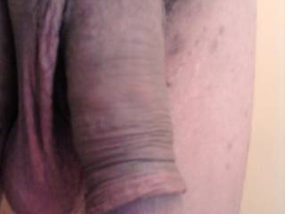 dick in repose