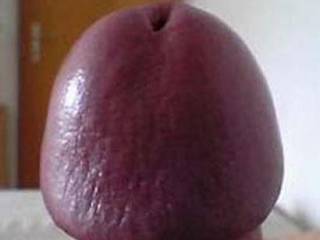 Out of Lovolust's Blusheroticon; subject: My super glans! Women say, "(one of) the largest, greatest, most hardened, and most beauteous penis-head(s)!" - real, unfaked, true, genuine pix - from funny through sexy-porny up to brutal; it is for the Women!