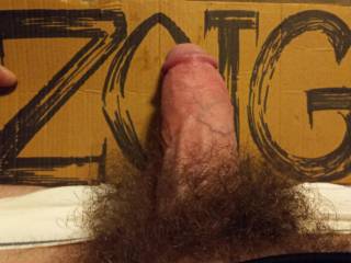 My horny and hairy cock