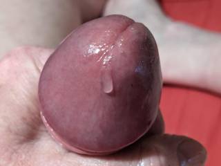 Sally is away with her friend this weekend so I'm left to sort myself out, with the help of you sexy zoigers! You can see the pre-cum running down the head of my cock, would you like to lick it up?