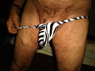 Slutty Pose in my Zebra Thong