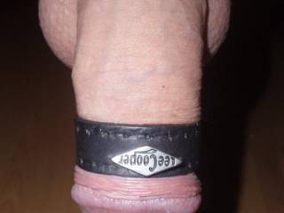 slave for Ledis