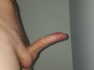 My hard cock ready for a beating