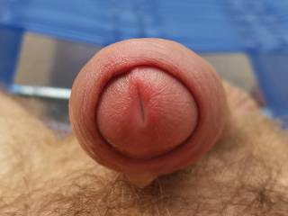 outside getting horny with a little precum