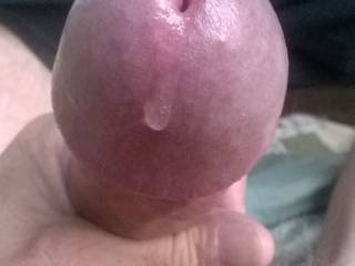 My big shiny purple plum dribbling pre-cum while looking at hot zoig members. Any takers?