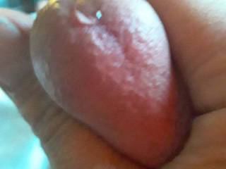 Look at my precum ooze out as i squeeze my head. Anyone want to stick their tongue and taste?