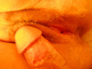 rubbing my cock on wife\'s hairy slit