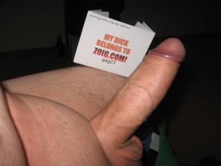 that's a handsome big cock; i'd like to taste it!