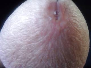 Wanna lick the head..