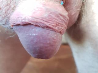 My cock loves a moist pussy any offered to