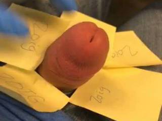Bored stroking the flower of my cock with sticky note petals