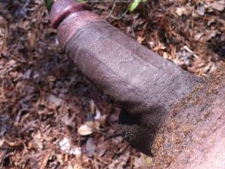 Mmmmm, I'd get naked with you and have you fuck me doggy-style out in the woods.  But before we fuck, I'd have to suck on that hard cock for a while.  MILF K