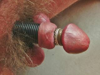 Cock with rubber rings on shaft and silver glans rings.
