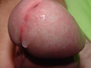 Girlfriend took this close-up photo of the head of my cock leaking pre-cum right before she licked it clean. Any other female zoigers out there who enjoy pre-cum and/or would like to help her lick me clean?