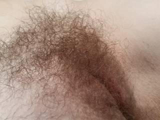 my cute hairy bush before I trimmed it down. hubby does love to rub his face deep in my thick bush, he just loves how I smell as his tongue works away at my slick pussy.