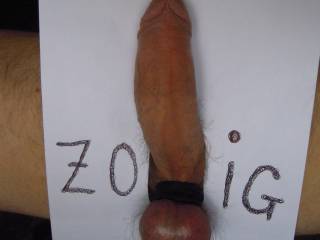 I have a very sexy toy for zoig-girls. who needs it?