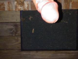 Erect Cock On My Front Porch