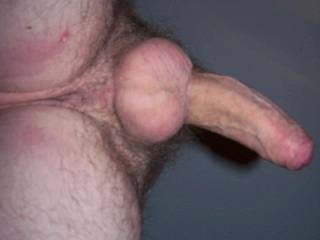 My cock, not hard yet but getting ready