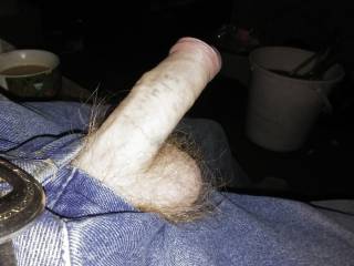 my dick anyone like to have a play ??
