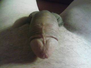 woke up this morning with this hard-on and  he was hungry for pussy or ass, anyone want to help me.