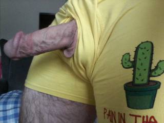 Hard cock! Wanna suck my cactus?