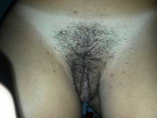 hairy phat pussy
