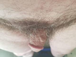 Looking for a place to put my dick into and fuck hard looking to do lots of fucking and sucking