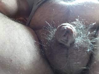 Hairy cock at morning